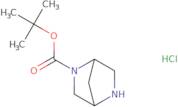 (1S,4S)-tert-Butyl 2,5-diazabicyclo[2.2.1]heptane-2-carboxylate hydrochloride