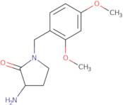 3-Amino-1-[(2,4-dimethoxyphenyl)methyl]pyrrolidin-2-one