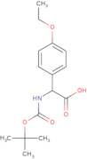 2-{[(tert-Butoxy)carbonyl]amino}-2-(4-ethoxyphenyl)acetic acid