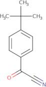 4-(tert-Butyl)benzoyl cyanide