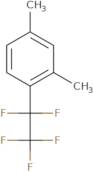 2,4-Dimethyl-pentafluoroethylbenzene