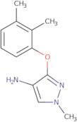 3-(2,3-Dimethylphenoxy)-1-methyl-1H-pyrazol-4-amine