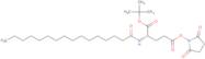 1-tert-Butyl 5-(N-Succinimidyl) N-Palmitoyl-L-glutamate