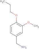 (3-Methoxy-4-propoxyphenyl)methanamine