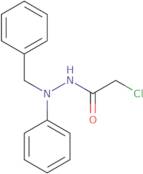 N'-Benzyl-2-chloro-N'-phenylacetohydrazide