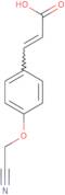 (2E)-3-[4-(Cyanomethoxy)phenyl]prop-2-enoic acid