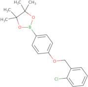 2-{4-[(2-Chlorophenyl)methoxy]phenyl}-4,4,5,5-tetramethyl-1,3,2-dioxaborolane