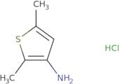 2,5-Dimethylthiophen-3-amine hydrochloride