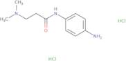 N-(4-Aminophenyl)-3-(dimethylamino)propanamide dihydrochloride