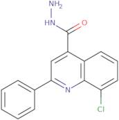 8-Chloro-2-phenylquinoline-4-carbohydrazide