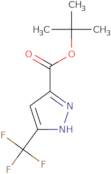 tert-Butyl 3-(trifluoromethyl)-1H-pyrazole-5-carboxylate