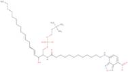 [(E,2S,3R)-3-Hydroxy-2-[12-[(4-nitro-2,1,3-benzoxadiazol-7-yl)amino]dodecanoylamino]octadec-4-enyl] 2-(trimethylazaniumyl)ethyl phos phate