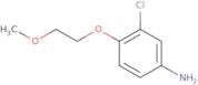 3-Chloro-4-(2-methoxy-ethoxy)-phenylamine