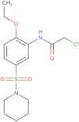 2-Chloro-N-[2-ethoxy-5-(piperidine-1-sulfonyl)phenyl]acetamide