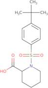 1-(4-tert-Butylbenzenesulfonyl)piperidine-2-carboxylic acid