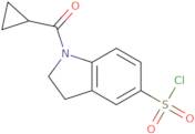 1-Cyclopropanecarbonyl-2,3-dihydro-1H-indole-5-sulfonyl chloride