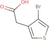 2-(4-Bromothiophen-3-yl)acetic acid