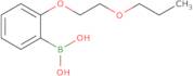 (2-(2-Propoxyethoxy)phenyl)boronic acid