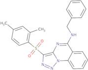 N-Benzyl-3-[(2,4-dimethylphenyl)sulfonyl][1,2,3]triazolo[1,5-a]quinazolin-5-amine