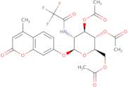 4-Methylumbelliferyl 3,4,6-tri-O-acetyl-2-deoxy-2-trifluoroacetamido-b-D-glucopyranoside