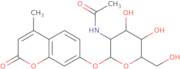 4-Methylumbelliferyl 2-acetamido-2-deoxy-a-D-galactopyranoside - Moscerdam biochemical purity