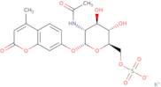 4-Methylumbelliferyl 2-acetamido-2-deoxy-α-D-glucopyranoside-6-sulfate potassium