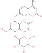 4-Methylumbelliferyl 2-acetamido-2-deoxy-4-O-(a-L-fucopyranosyl)-b-D-glucopyranoside