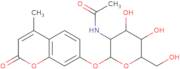 4-Methylumbelliferyl 2-acetamido-2-deoxy-a-D-glucopyranoside