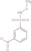 N-Methoxy-3-nitrobenzene-1-sulfonamide