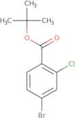 t-Butyl 4-bromo-2-chlorobenzoate