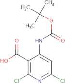 4-([(tert-Butoxy)carbonyl]amino)-2,6-dichloropyridine-3-carboxylic acid