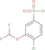 4-Chloro-3-(difluoromethoxy)benzene-1-sulfonyl chloride