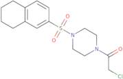 2-Chloro-1-[4-(5,6,7,8-tetrahydronaphthalene-2-sulfonyl)piperazin-1-yl]ethan-1-one