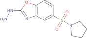 2-Hydrazino-5-(pyrrolidin-1-ylsulfonyl)-1,3-benzoxazole