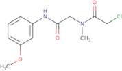 2-Chloro-N-{[(3-methoxyphenyl)carbamoyl]methyl}-N-methylacetamide