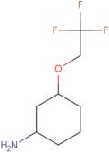 3-(2,2,2-Trifluoroethoxy)cyclohexan-1-amine