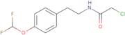 2-Chloro-N-{2-[4-(difluoromethoxy)phenyl]ethyl}acetamide