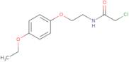 2-Chloro-N-[2-(4-ethoxyphenoxy)ethyl]acetamide