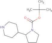 (rac)-tert-Butyl 2-(piperidin-4-yl)pyrrolidine-1-carboxylate