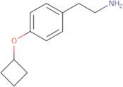 2-(4-Cyclobutoxyphenyl)ethylamine