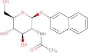 2-Naphthyl 2-acetamido-2-deoxy-b-D-glucopyranoside