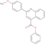 Phenyl 2-(4-methoxyphenyl)quinoline-4-carboxylate