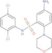 5-Amino-N-(2,5-dichlorophenyl)-2-(morpholin-4-yl)benzene-1-sulfonamide