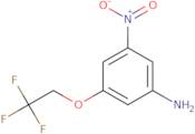 3-Nitro-5-(2,2,2-trifluoroethoxy)aniline