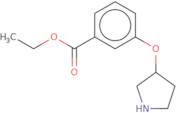 Ethyl 3-(pyrrolidin-3-yloxy)benzoate