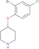 4-(2-Bromo-4-chlorophenoxy)piperidine