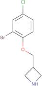 3-[(2-Bromo-4-chlorophenoxy)methyl]azetidine