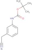 (3-Cyanomethyl-phenyl)-carbamic acid tert-butyl ester