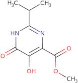 5,6-Dihydroxy-2-isopropyl-pyrimidine-4-carboxylic acid methyl ester