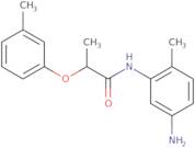 N-(5-Amino-2-methylphenyl)-2-(3-methylphenoxy)-propanamide